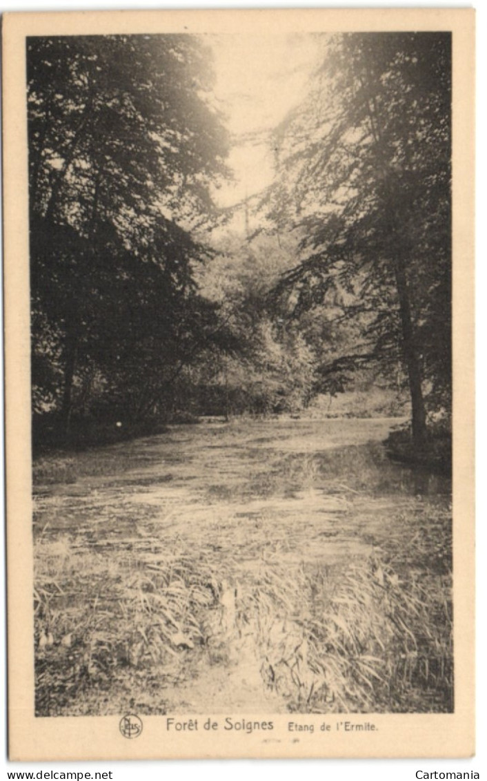 Forêt De Soignes - Etang De L'ermite - Auderghem - Oudergem
