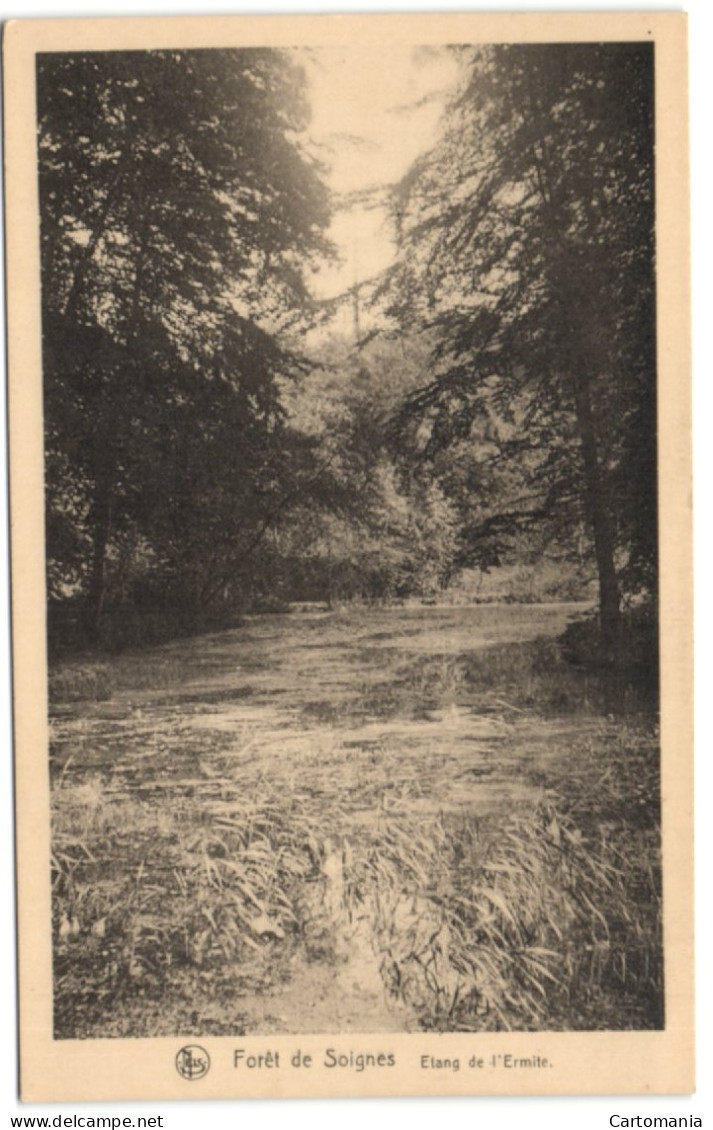 Forêt De Soignes - Etang De L'ermite - Auderghem - Oudergem
