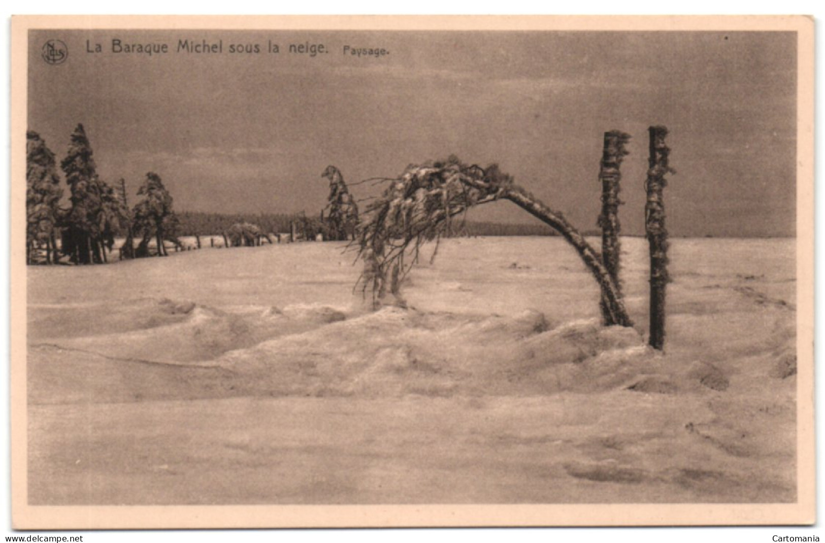 La Baraque Michel Sous La Neige - Paysage - Jalhay