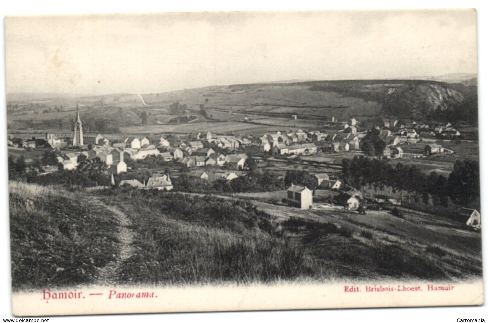 Hamoir - Panorama - Hamoir