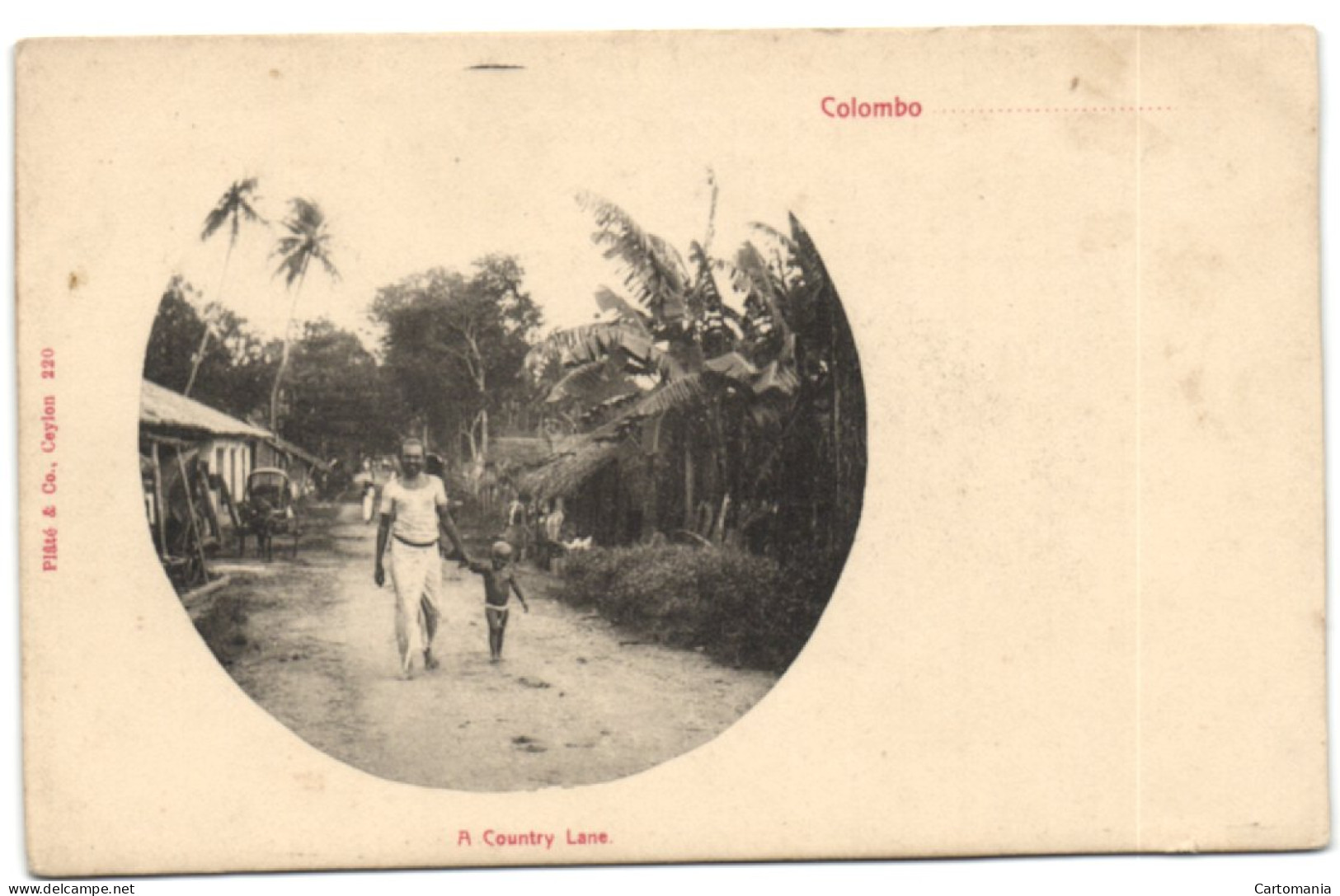 Colombo - A Country Lane - Sri Lanka (Ceylon)