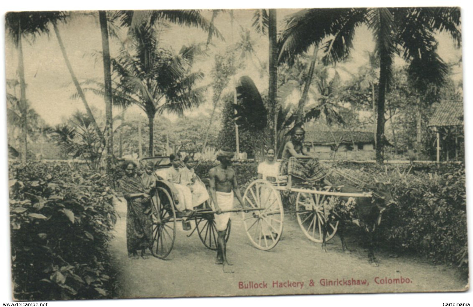 Bullock Hackery & Ginrickshaw - Colombo - Sri Lanka (Ceylon)