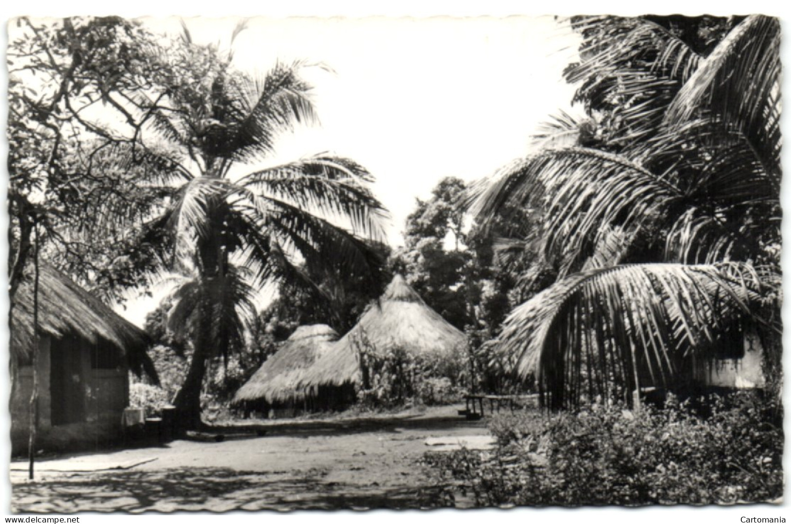 Afrique Noire - Village Sous Les Palmiers - Tchad
