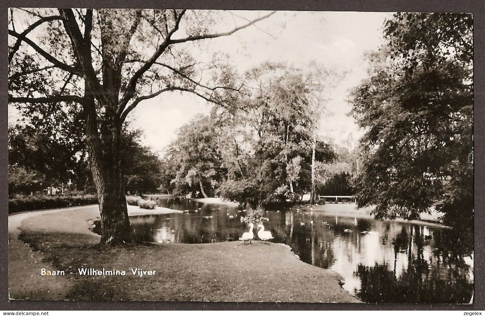 Baarn - Wilhelminavijver Met Zwanenpaar - Baarn