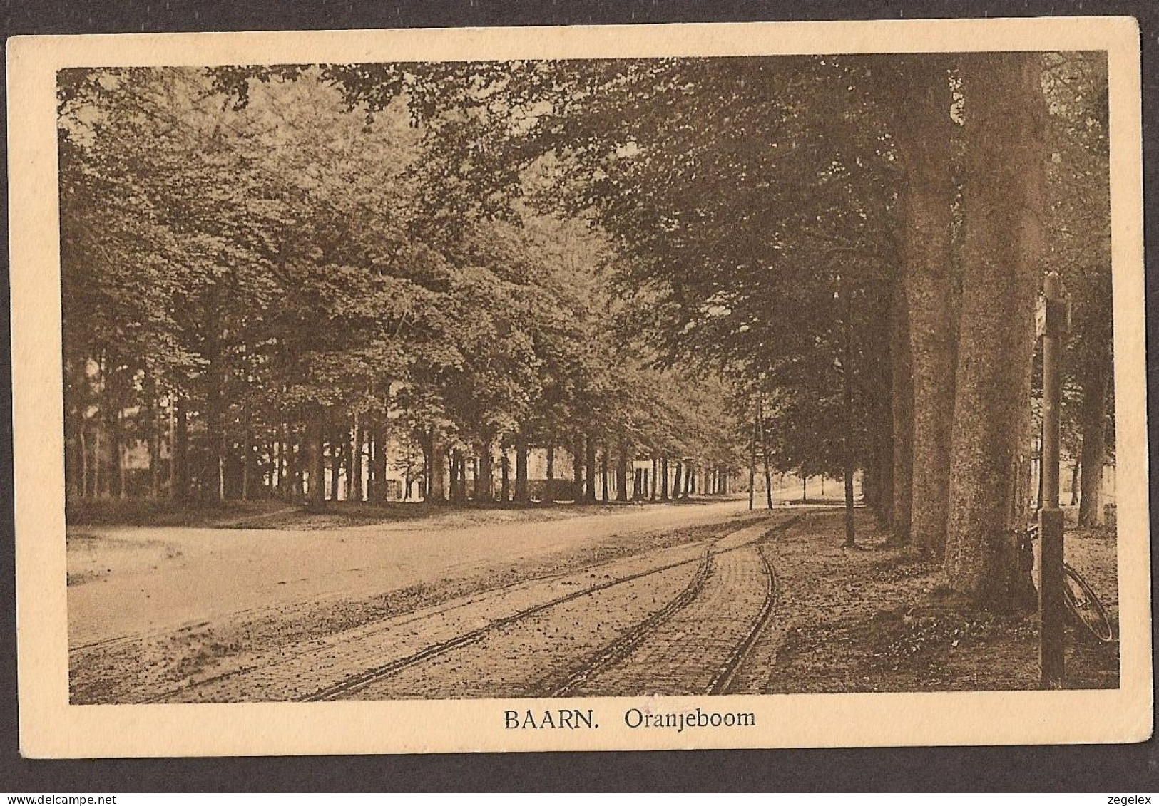 Baarn - Oranjeboom Met Tramrails Met Wissel. Fiets Tegen De Boom (van De Fotograaf?) - Baarn