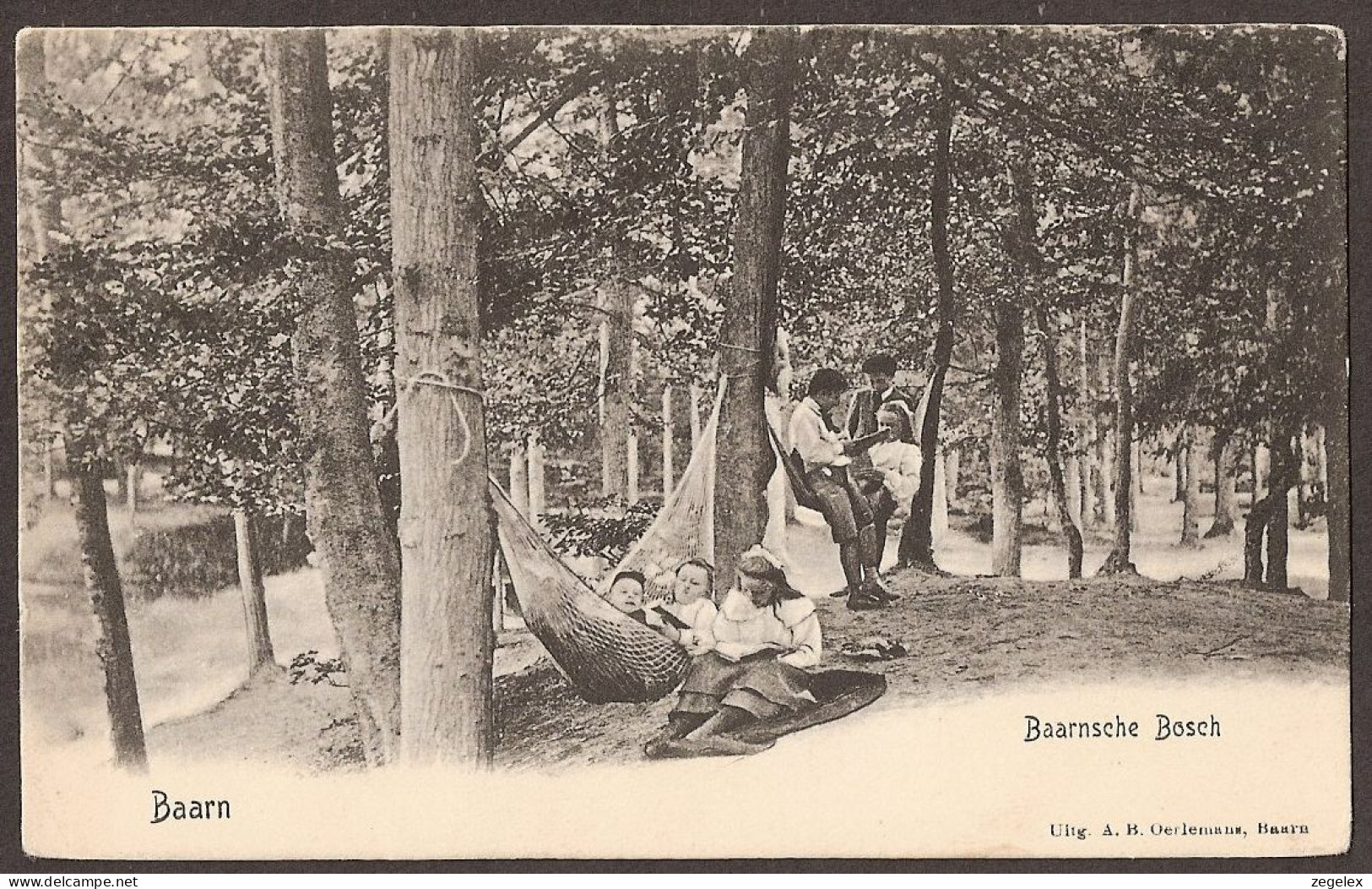 Baarn - 1905 - Baarnsche Bosch. Kinderen In Hangmatten Aan Het Lezen.  - Uitgeverij Oerlemans, Baarn - Baarn