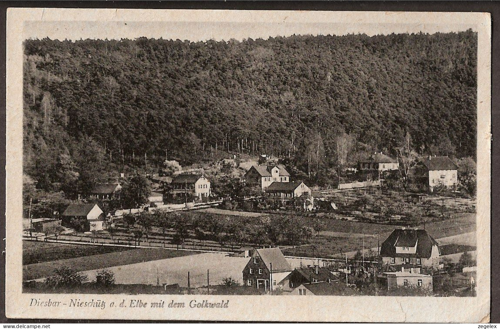 Diesbar - 1954  Nieschütz A.d. Elbe Mit Dem Solkwald - Diesbar-Seusslitz