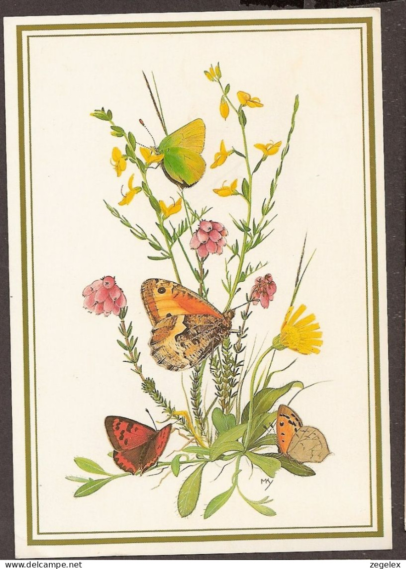 Papillon, Butterfly, Schmetterlinge, Farfalle, Mariposa, Vlinder - Papillons