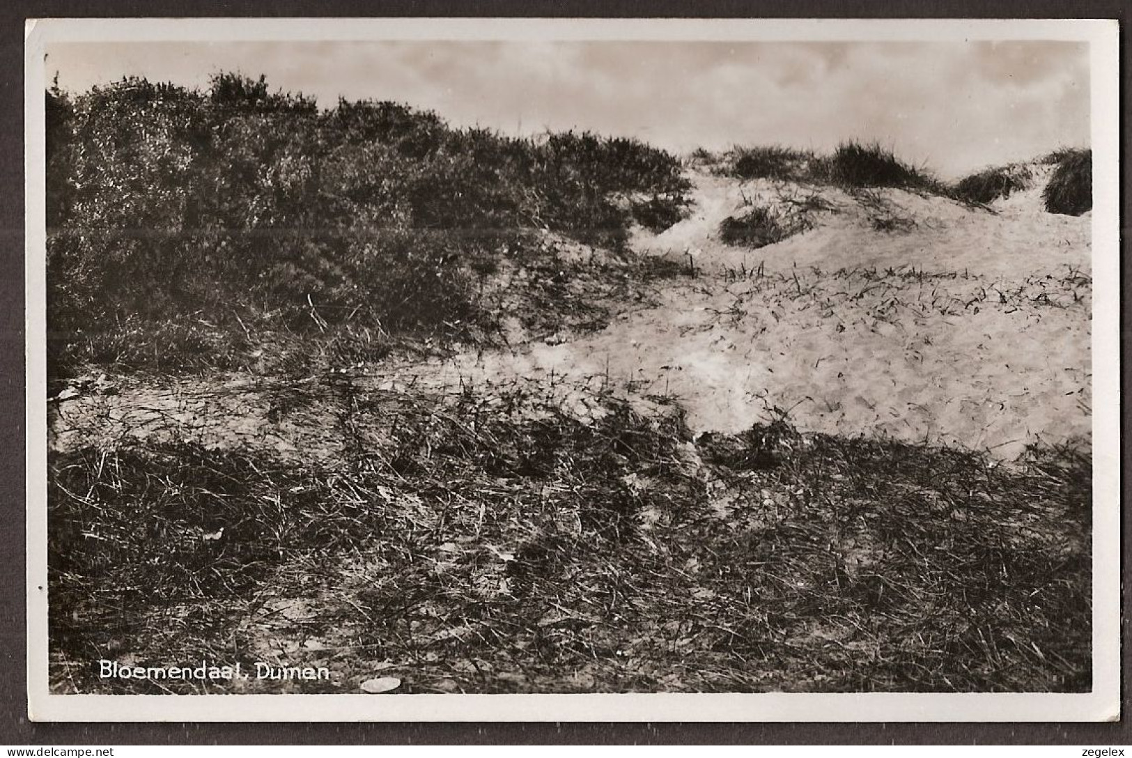 Bloemendaal - Duinen - 1943 - Bloemendaal