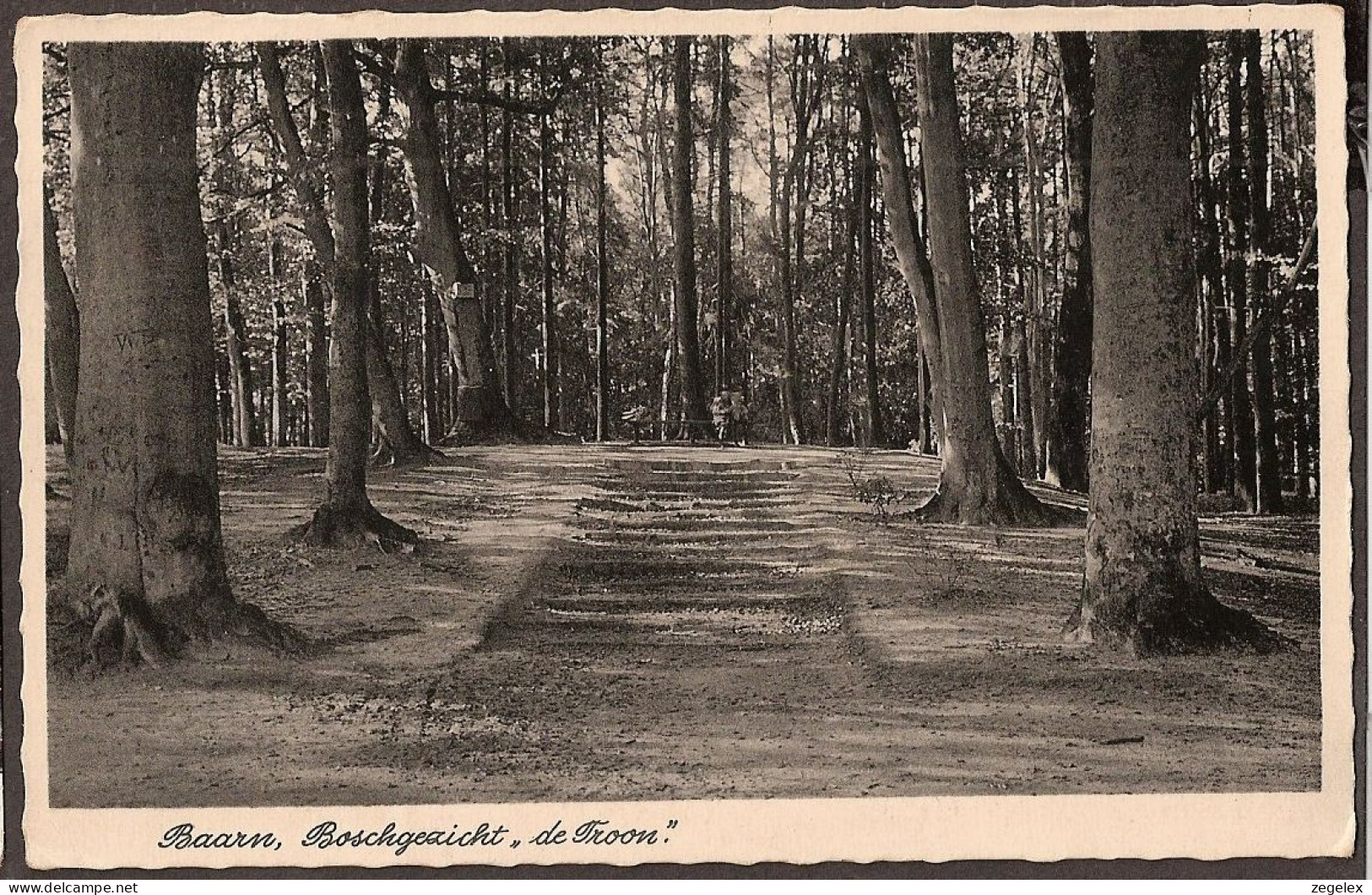 Baarn - Boschgezicht De Troon - Met Wandelaars Op Het Bankje - Gelopen 1943 - Baarn