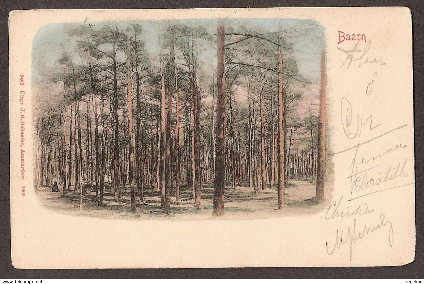 Baarn - Vrouwen In Het Bos - Gelopen 1908 - Baarn