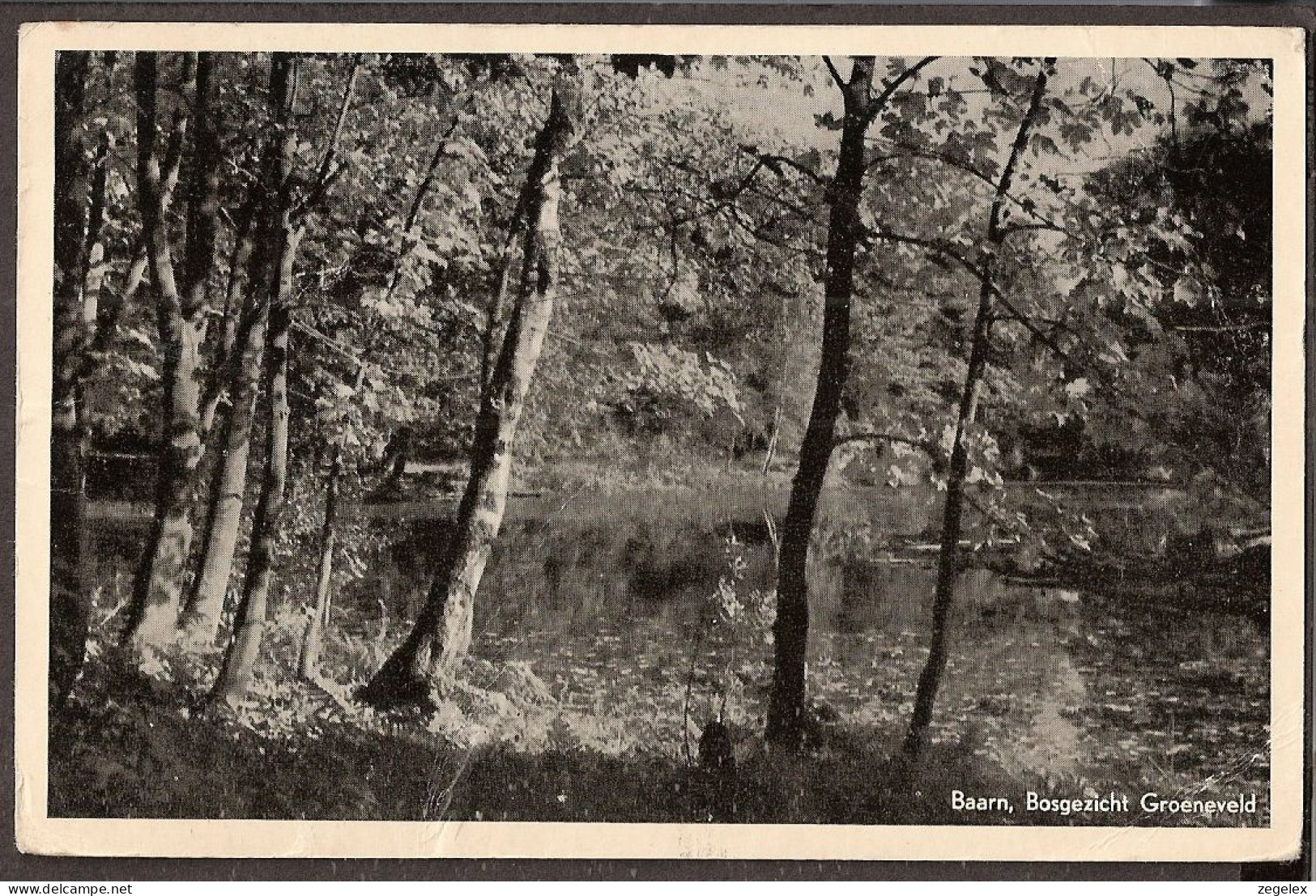 Baarn - Bosgezicht Groeneveld - 1954 - Baarn