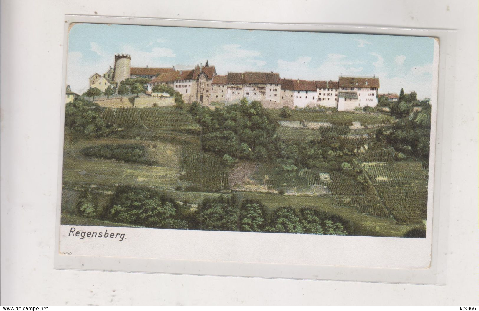 SWITZERLAND REGENSBERG Nice Postcard - Regensberg