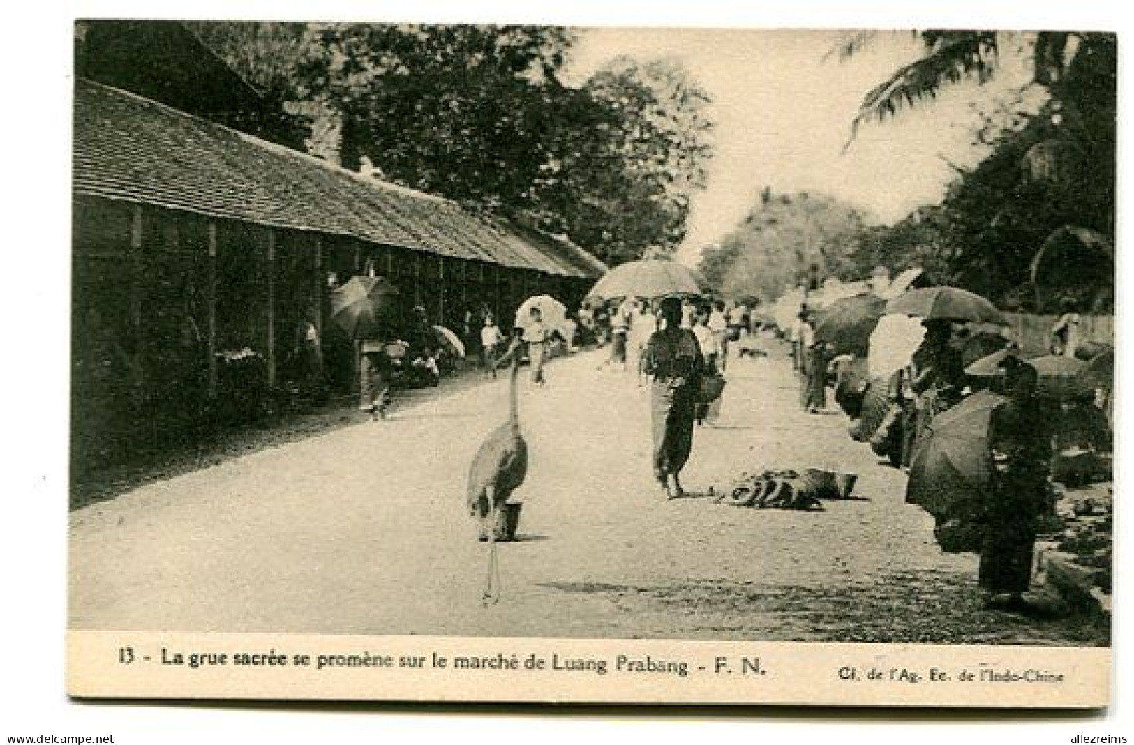 Carte   LAOS :  LUANG PRABANG    Une Grue     A   VOIR   !!! - Laos