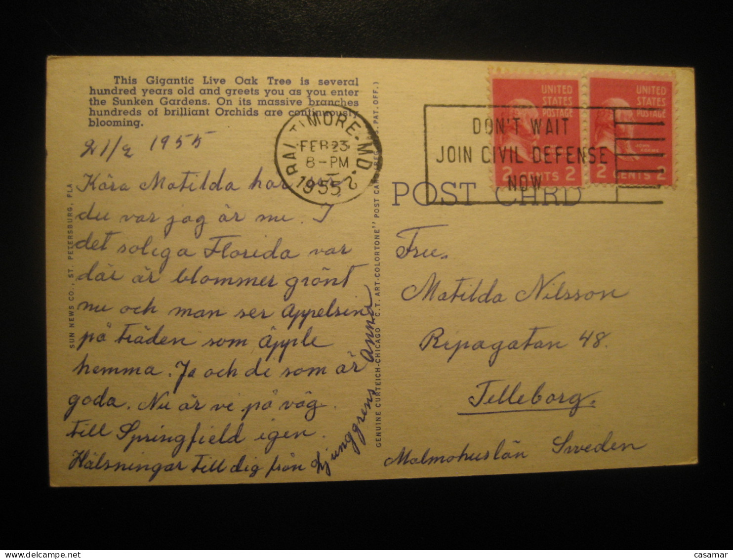 SAINT PETERSBURG Florida Orchid Sky Gardens Cancel BALTIMORE 1955 To Sweden Postcard USA - St Petersburg