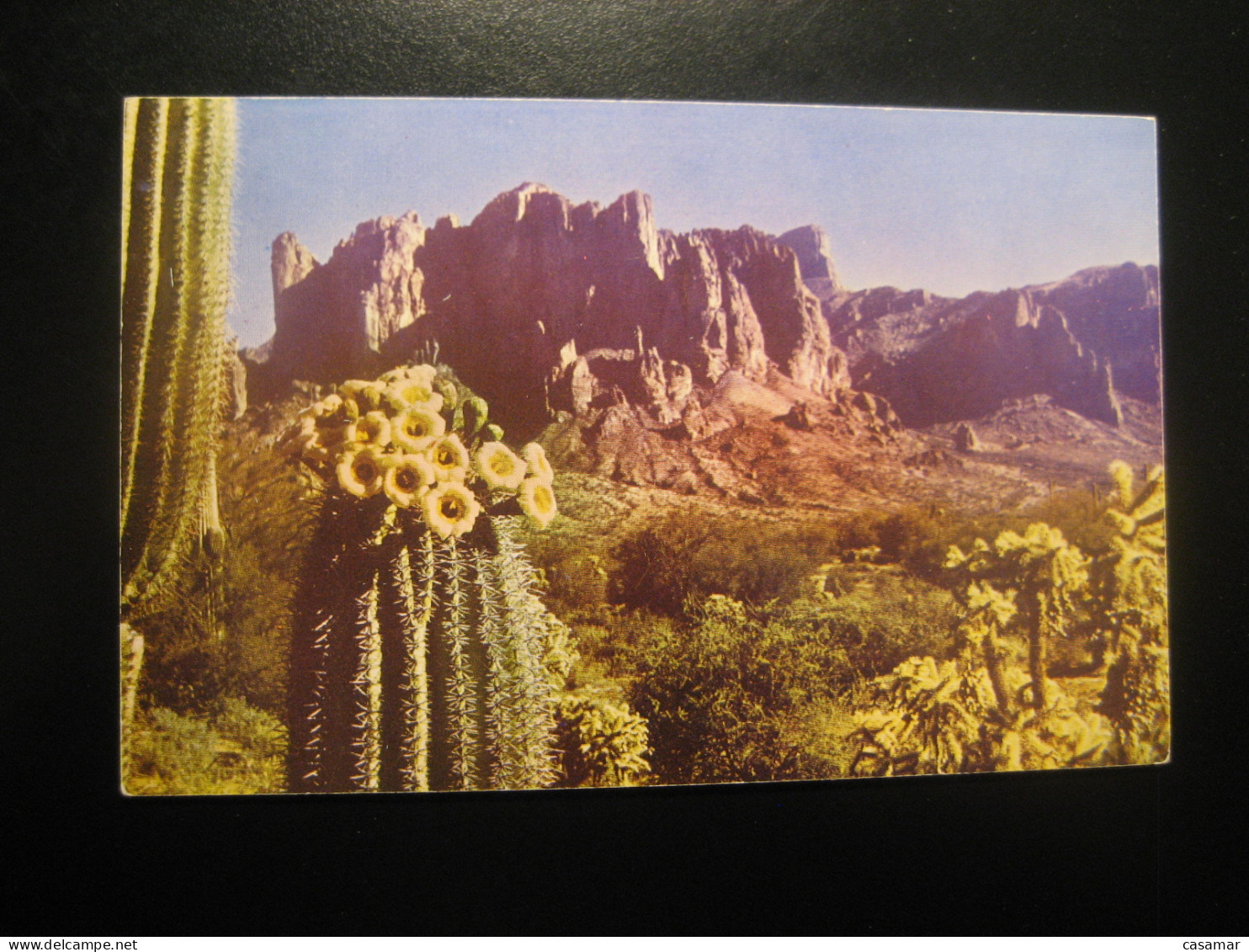 SUPERSTITION Mountain Arizona Apache Trail Saguaro Flower Cactus Postcard USA - Autres & Non Classés