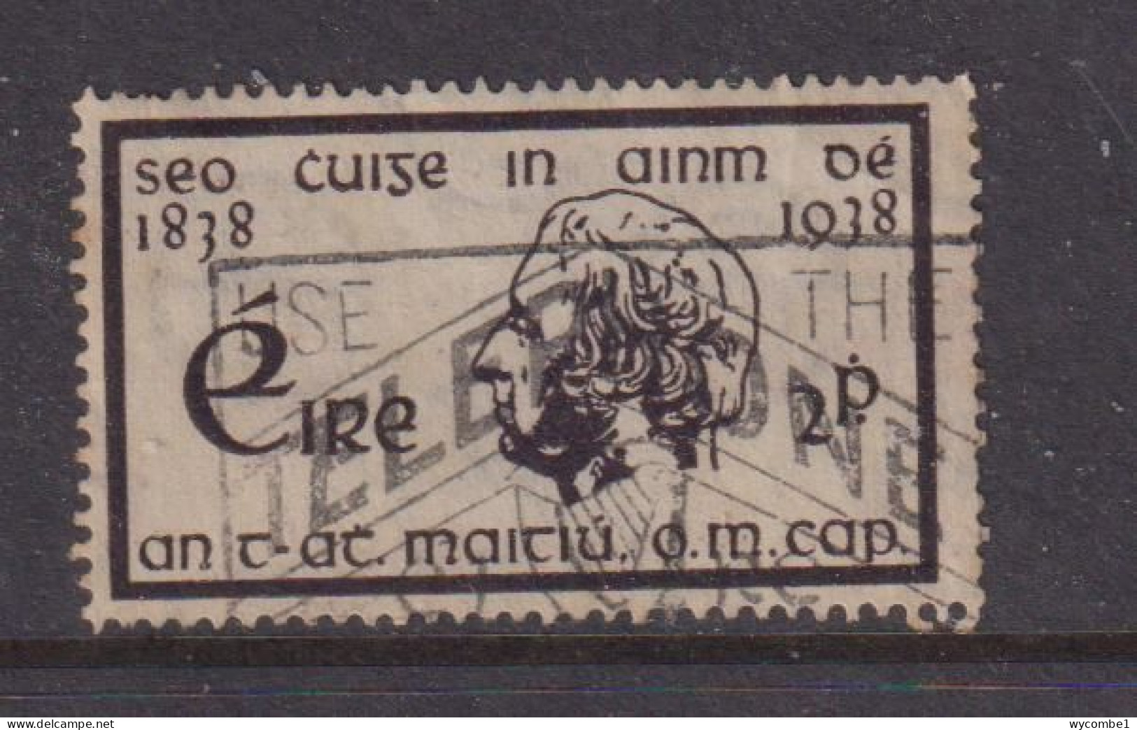 IRELAND - 1938  Temperence Crusade  2d  Used As Scan - Gebraucht
