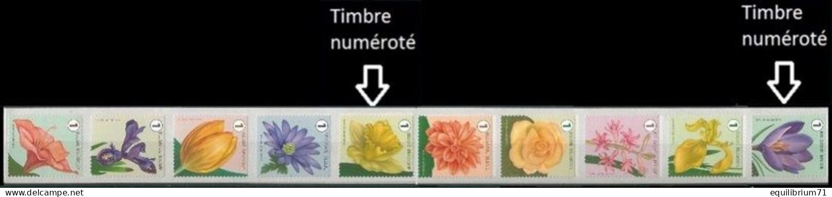 R144**(4653/4662) - Fleurs/Bloemen (bande 6 - 10 Timbres Différents, Num./ Band 6 - 10 Verschillende Zegels, Genum) - Rouleaux