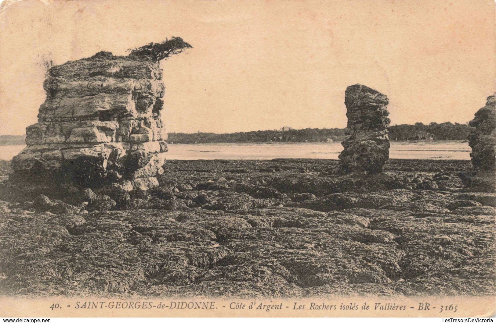 FRANCE - Saint Georges De Didonne - Côte D'Argent - Les Rochers Isolés De Vallières - Carte Postale Ancienne - Saint-Georges-de-Didonne