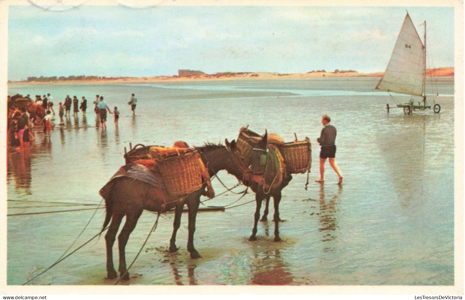 PHOTOGRAPHIE -Scène De Plage - Colorisé - Carte Postale - Photographie