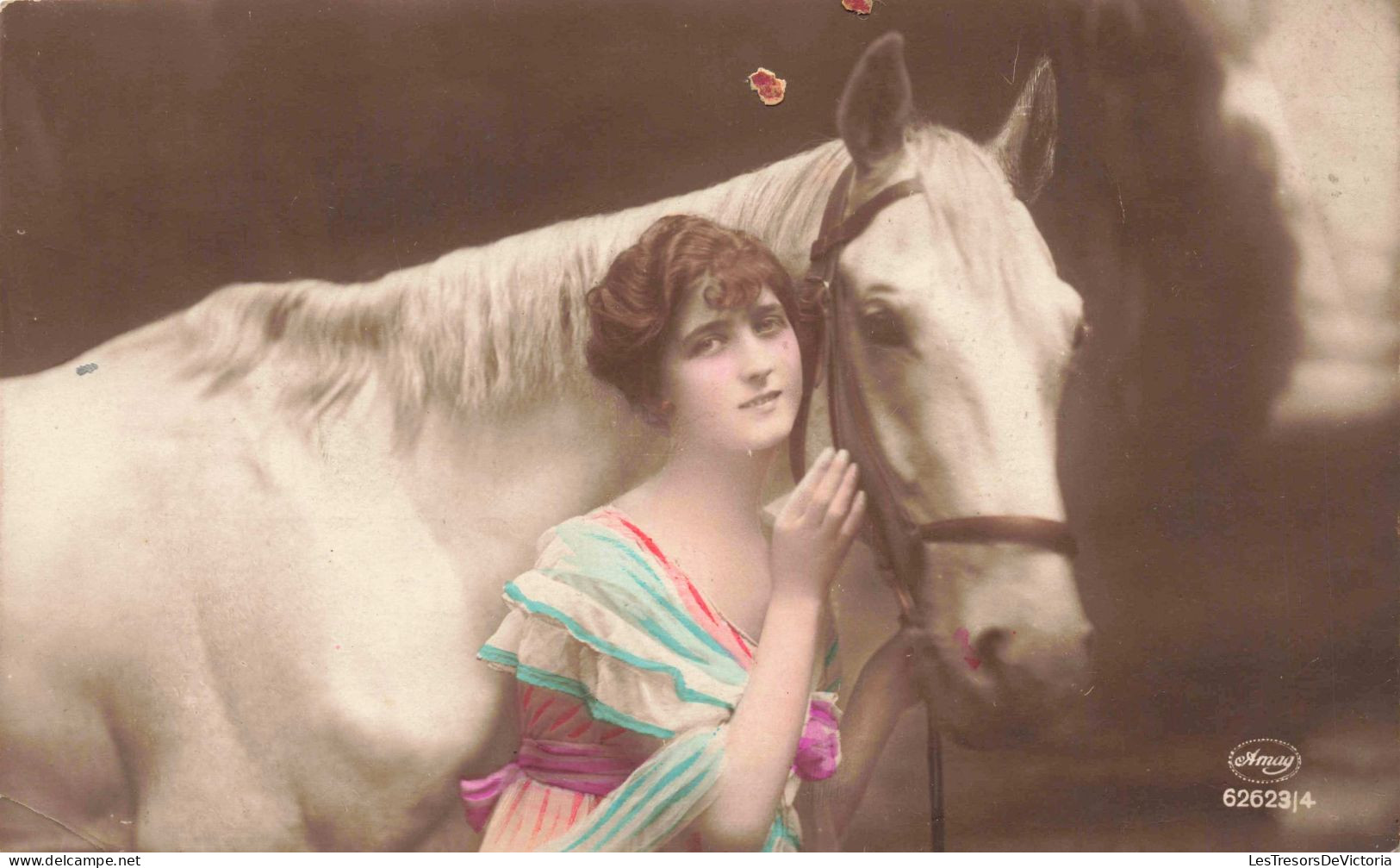 PHOTOGRAPHIE - Une Fille Avec Un Cheval Blanc - Carte Postale Ancienne - Photographie