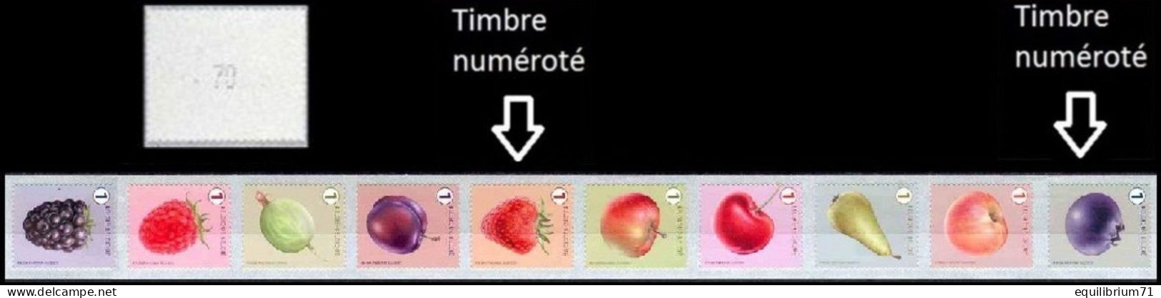 R157**(4800/4809) - Fruits/Fruiten (bande 5 De 10 Timb Dif, Num 2 Chiffres / Band 5 Van 10 Versch Zeg, 2 Cijfers Genum) - Coil Stamps