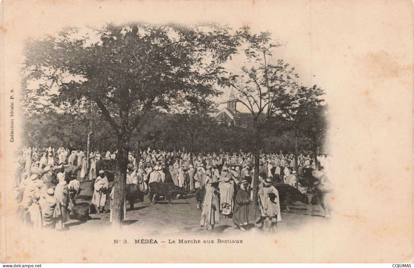 ALGERIE _S23629_ Médéa - Le Marché Aux Bestiaux - Medea
