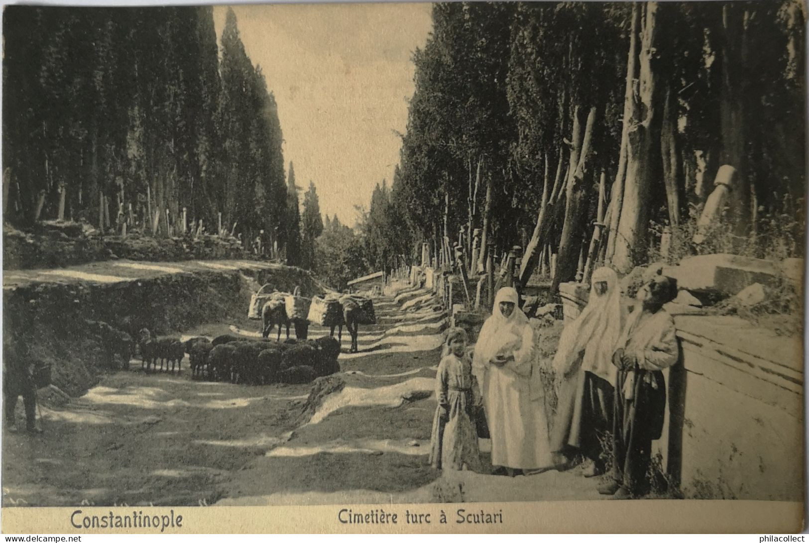 Constantinople (Turkey) Cimetiere Turc A Scutari  19?? Ed. Au Bon Marche Pera No. 207 - Türkei