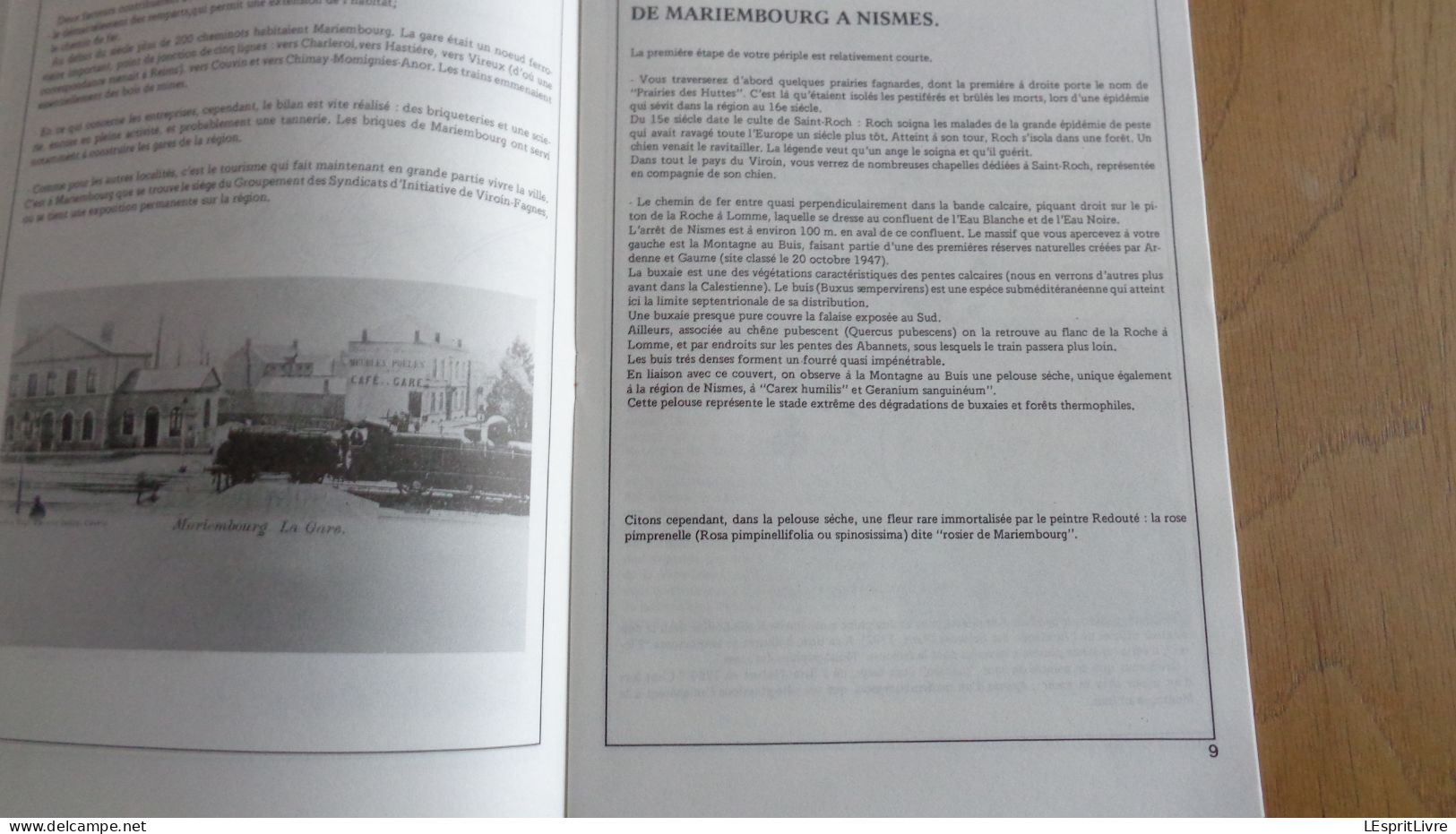 LA VALLEE DU VIROIN A TOUTE VAPEUR Régionalisme Train C F V 3 Vallées Mariembourg Olloy Nismes Treignes Vierves