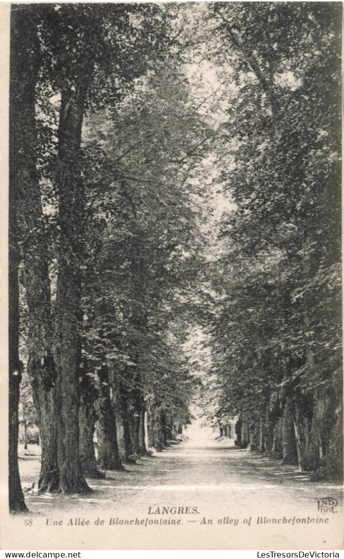 FRANCE - Langres - Une Allée De Blanchefontaine  - Carte Postale Ancienne - Langres