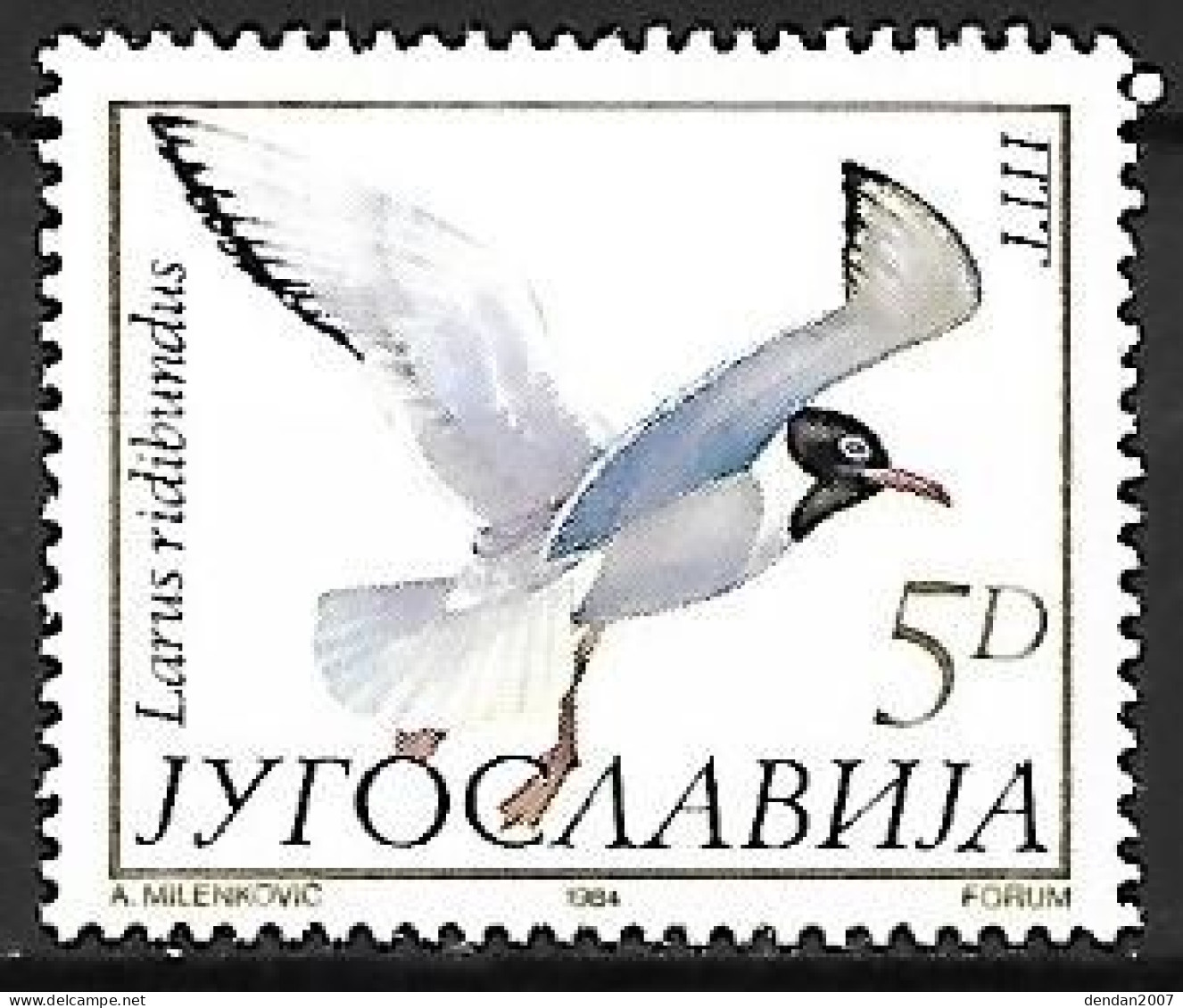 Yugoslavia - MNH ** 1984 : Black-headed Gull  -  Chroicocephalus Ridibundus - Seagulls