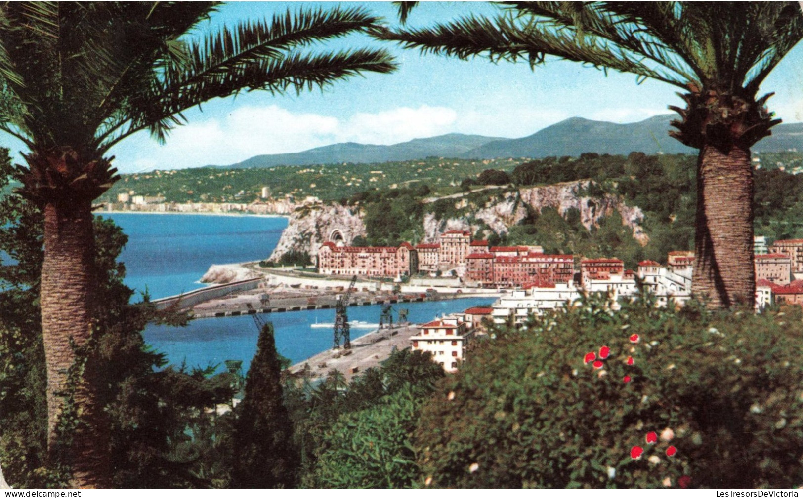 FRANCE - Nice - Vue Générale Sur La Ville Et Le Port - Colorisé - Carte Postale - Piazze