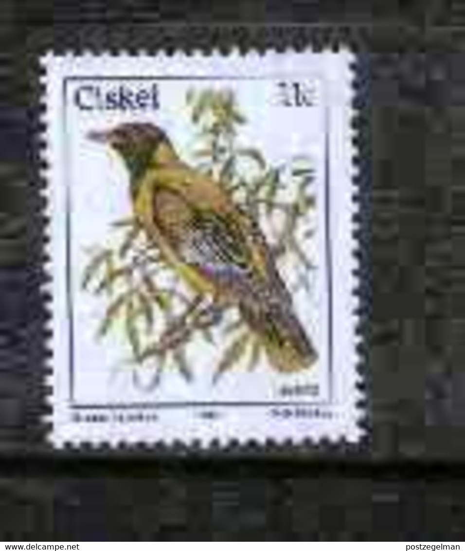 CISKEI, 1984 , MNH Stamp(s), Bird 11 Cent,  Michel 56, - Ciskei