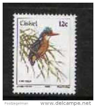 CISKEI, 1985, MNH Stamp(s), Definitive Bird 12 Cent,  Nr(s). 74 - Ciskei