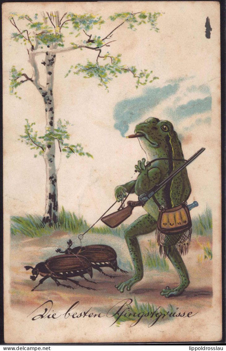 Gest. Pfingsten Frosch Maikäfer 1931 - Pentecôte