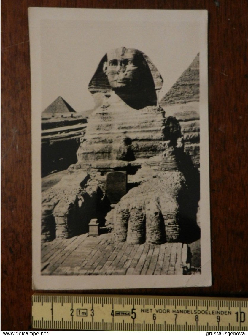 20138) LA SFINGE - Sphinx