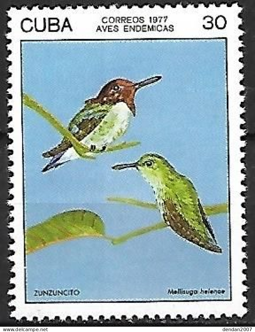 Cuba - MNH ** 1977 :    Bee Hummingbird   -  Mellisuga Helenae - Segler & Kolibris