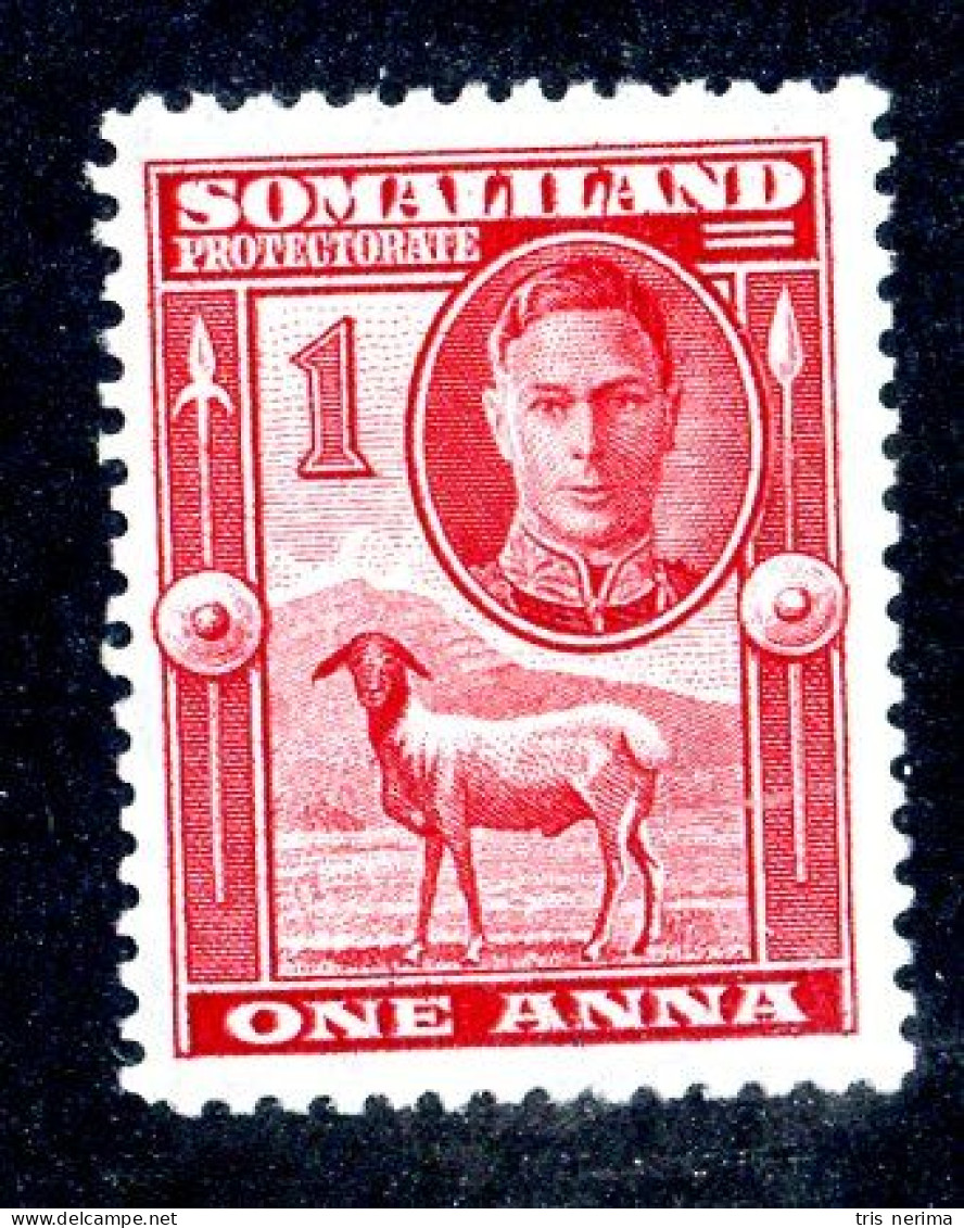 7044 BCx 1942 Scott #97 Mnh** ( Cv$0.35 )  LOWER BIDS 20% OFF - Somaliland (Protectorate ...-1959)