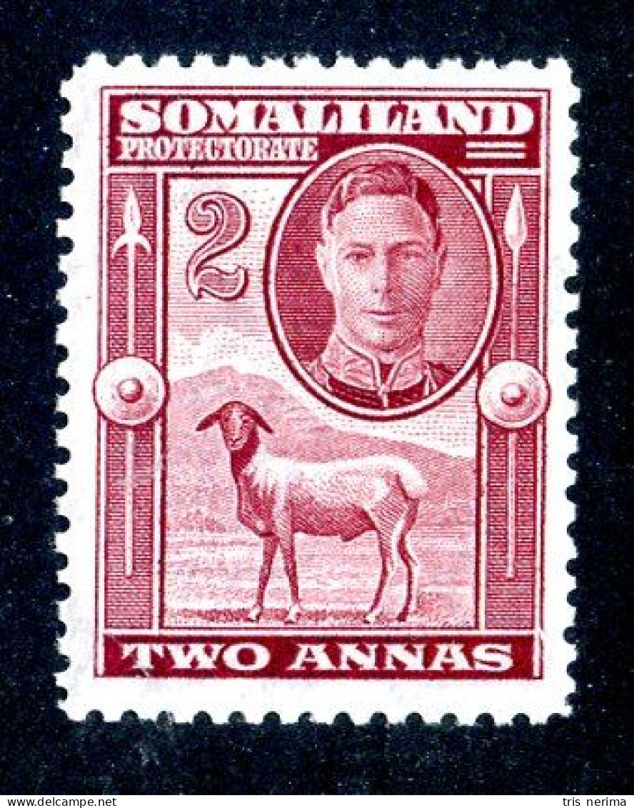 7045 BCx 1942 Scott #98 Mnh** ( Cv$0.55 )  LOWER BIDS 20% OFF - Somaliland (Protectoraat ...-1959)