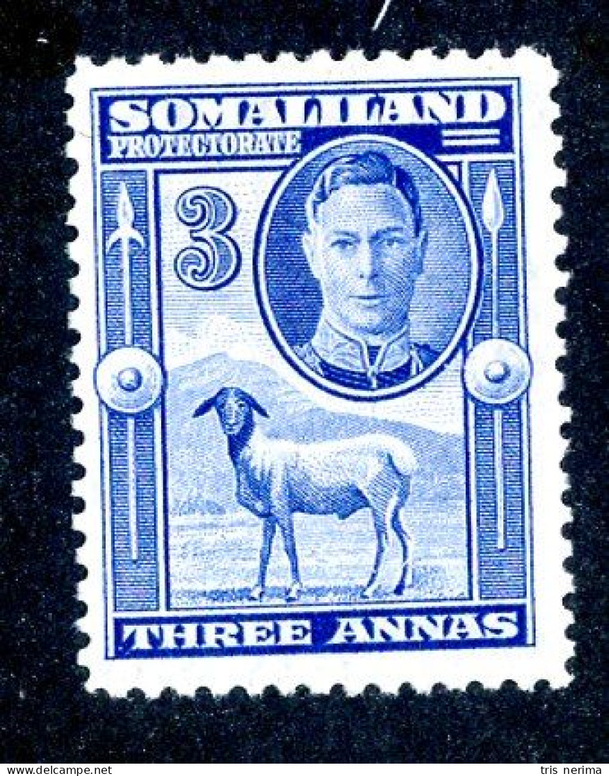 7046 BCx 1942 Scott #99 Mnh** ( Cv$1.90 )  LOWER BIDS 20% OFF - Somaliland (Herrschaft ...-1959)