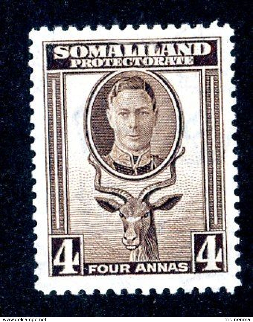 7047 BCx 1942 Scott #100 Mnh** ( Cv$2. )  LOWER BIDS 20% OFF - Somaliland (Protectorat ...-1959)