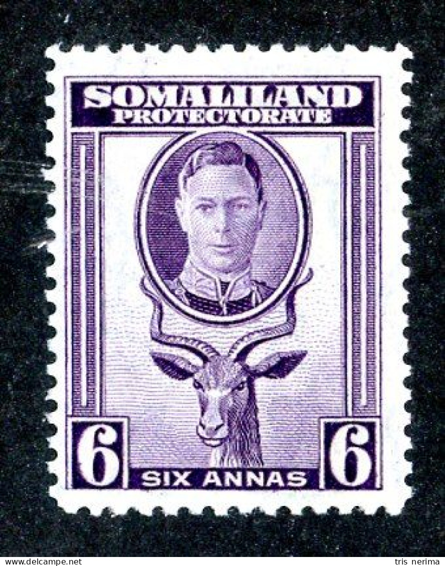 7048 BCx 1942 Scott #101 Mnh** ( Cv$3. )  LOWER BIDS 20% OFF - Somaliland (Herrschaft ...-1959)