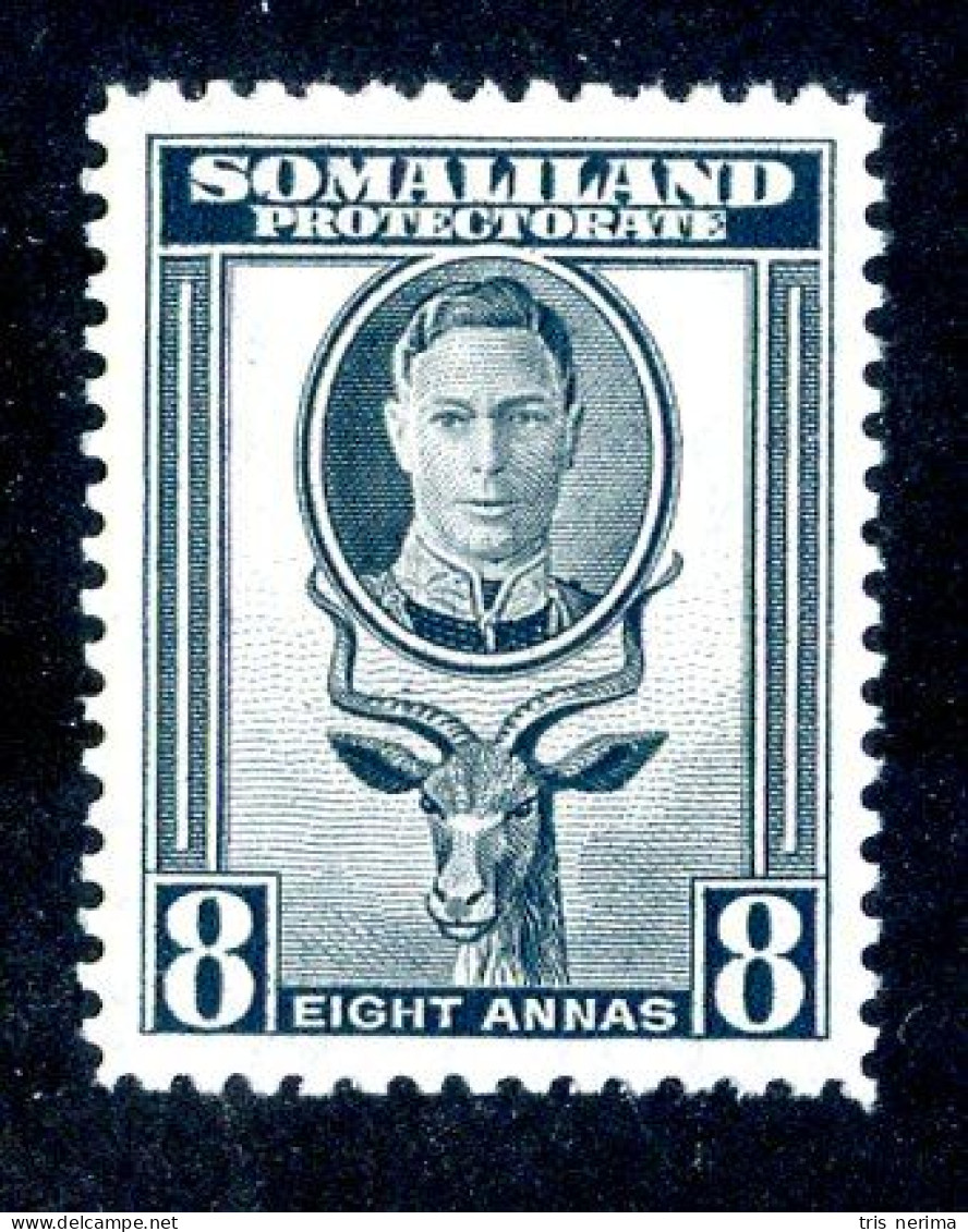 7049 BCx 1942 Scott #102 Mnh** ( Cv$3.25 )  LOWER BIDS 20% OFF - Somaliland (Herrschaft ...-1959)