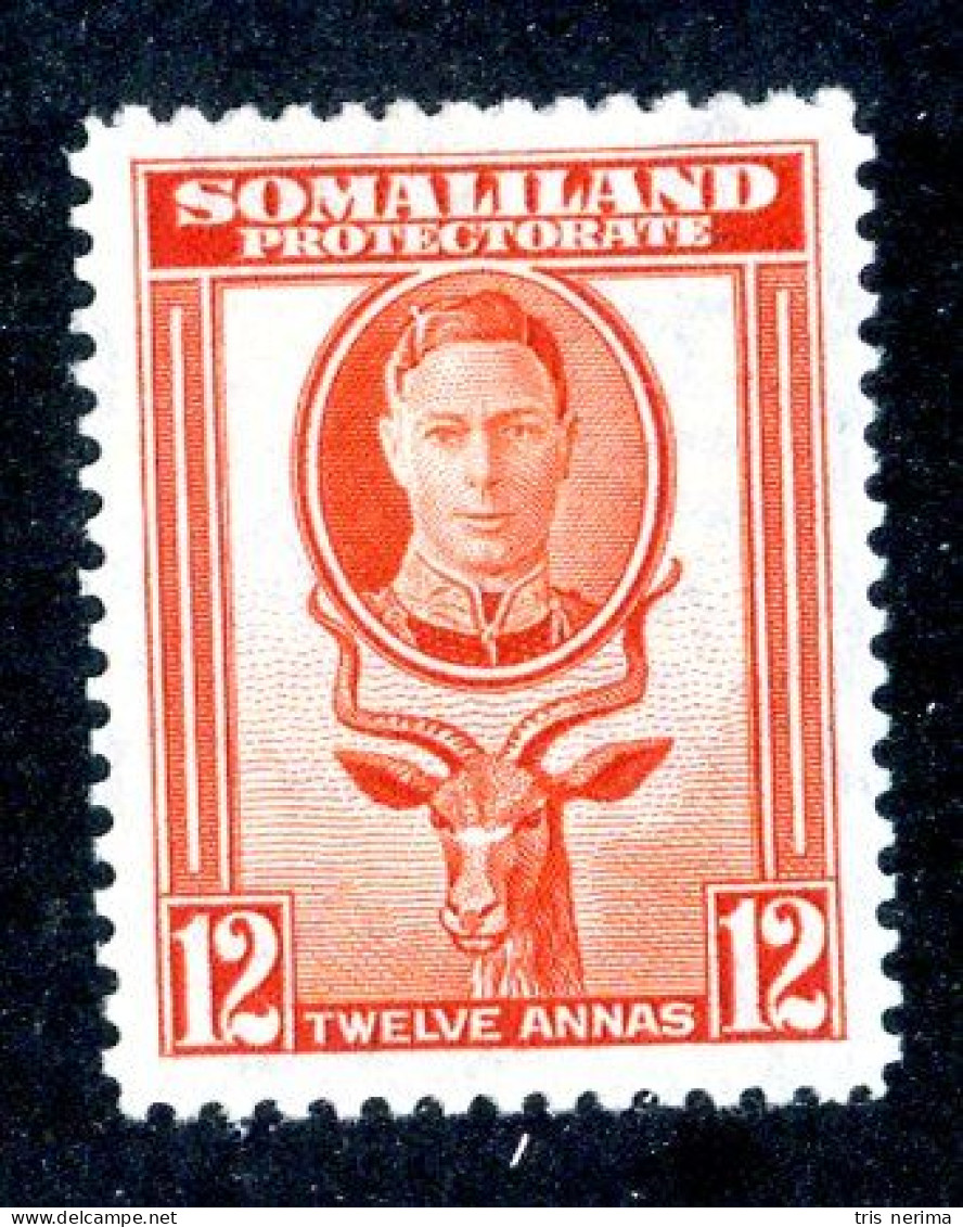7050 BCx 1942 Scott #103 Mnh** ( Cv$3. )  LOWER BIDS 20% OFF - Somaliland (Protectorat ...-1959)