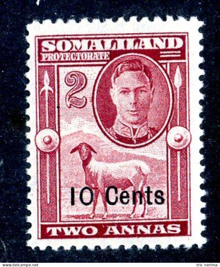 7054 BCx 1951 Scott #117 Mnh** ( Cv$0.40 )  LOWER BIDS 20% OFF - Somaliland (Herrschaft ...-1959)