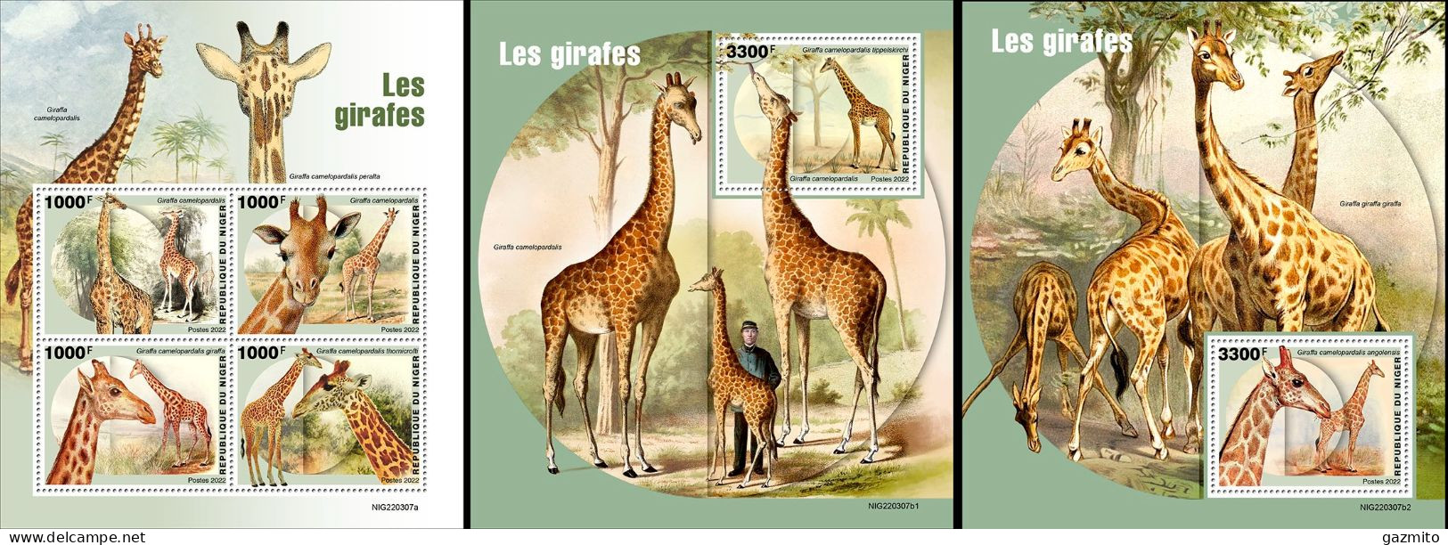 Niger 2022, Animals, Giraffe I, 4val In BF+2BF - Giraffes