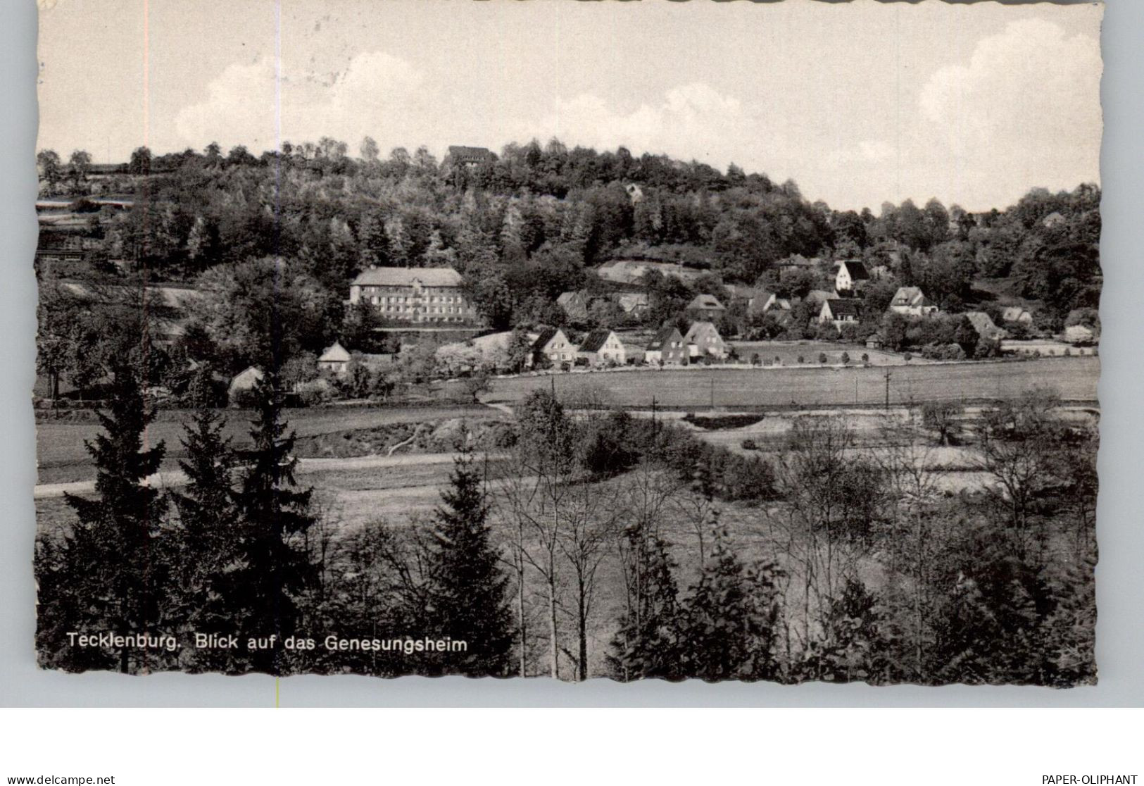 4542 TECKLENBURG, Blick Auf Das Genesungsheim, 1966 - Steinfurt