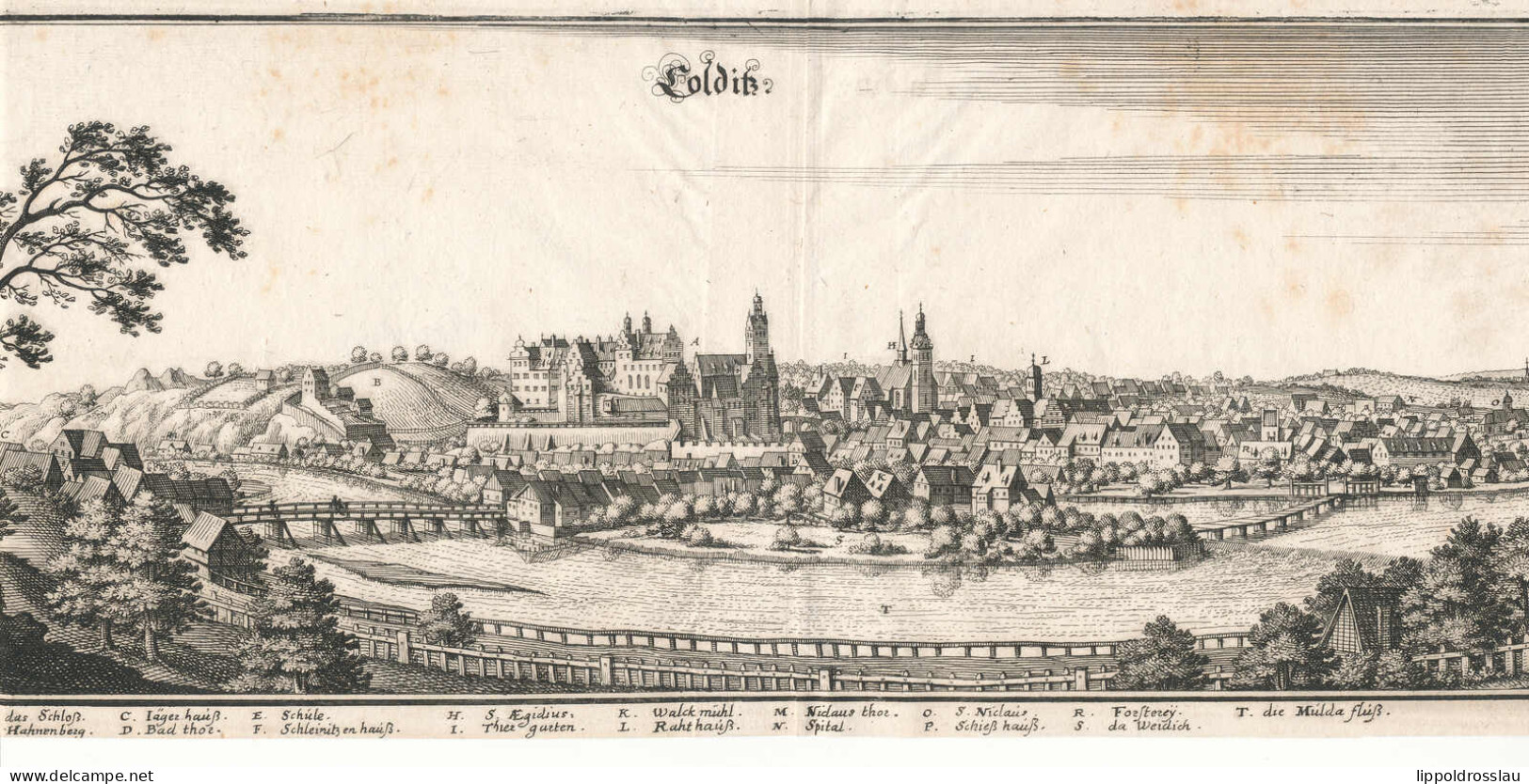 Colditz Kupferstich Um 1730 16,5x41 Cm - Affiches