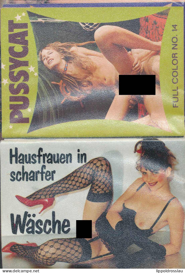 Konvolut Von 2 Stck. Erotik/Porno-Magazinen Sowie 15 Stck. Pornomagazine 10,5x15 Cm - Autres & Non Classés