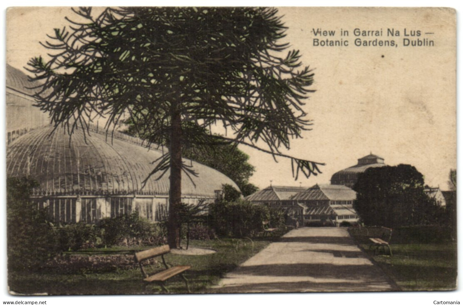 View In Garrai Na Lus - Botanic Gardens - Dublin - Dublin